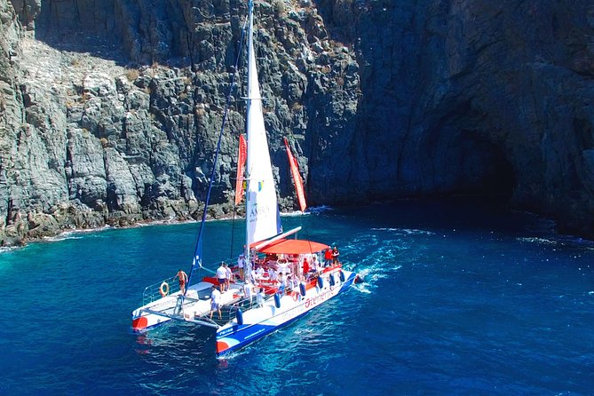 3-hour Whale and Dolphin Watching and Listening Tour - Key Highlights at a Glance