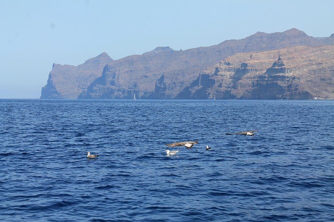 3h Boat Trip + Snorkeling in Puerto de Mogan - Marta and Ruben: what makes the hosts feel different