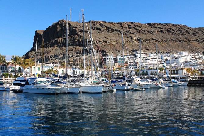 3h Boat Trip + Snorkeling in Puerto de Mogan - Who should book this snorkeling boat, and who should think twice