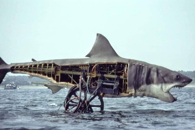 4 hours Hop-on Hop-off Jawsome Jaws Tour - Entertainment, Photos, and How to Get the Most Out of Each Stop