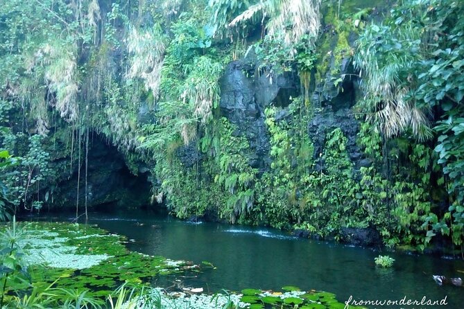 5 Hours Tahiti Island Tour - West and East Coast - Stop 4: Water Gardens of Vaipahi for botanicals and a waterfall