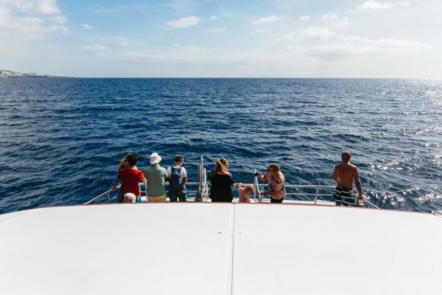 Adeje: Whale and Dolphin Watching Cruise with Lunch and Swim - How the wildlife watching feels in real life