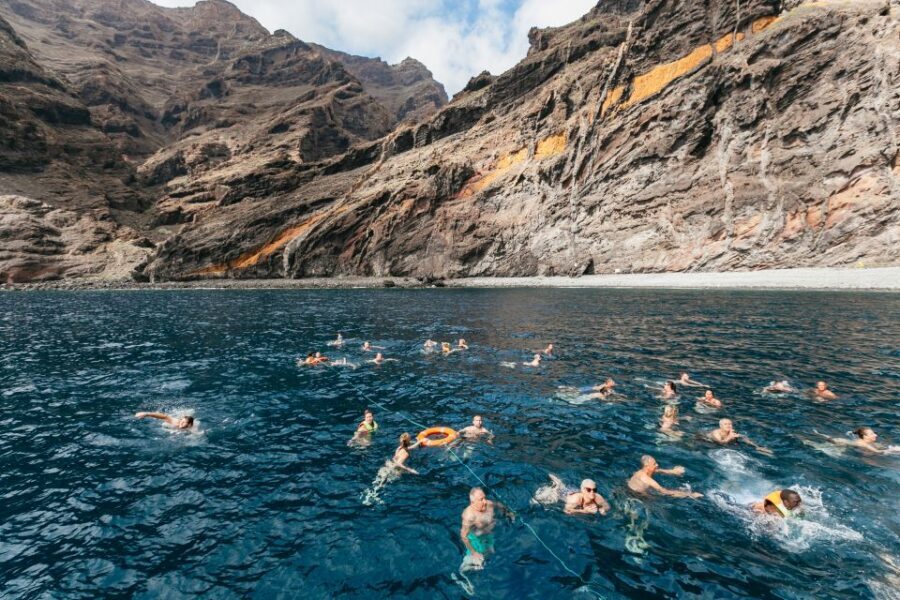 Adeje: Whale and Dolphin Watching Cruise with Lunch and Swim - Value check: is this $59 a fair deal?
