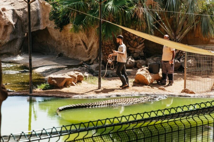 Agüimes: Cocodrilo Park Zoo Entry Ticket - The route inside: how to see the most without rushing
