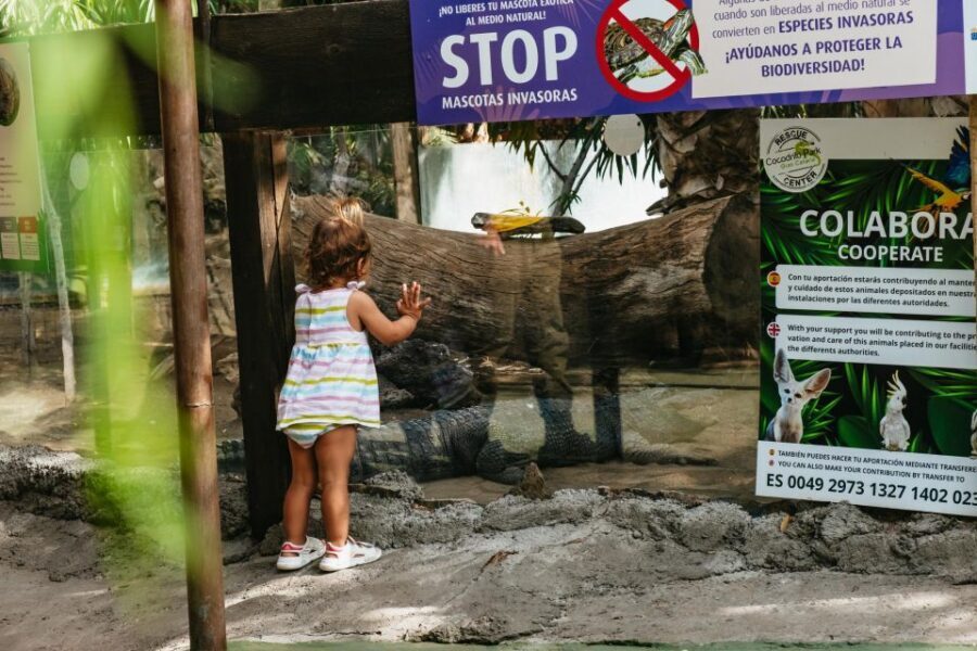 Agüimes: Cocodrilo Park Zoo Entry Ticket - Shows and feeding demos: the heart of Cocodrilo Park