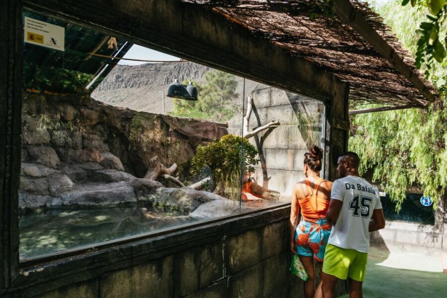 Agüimes: Cocodrilo Park Zoo Entry Ticket - Food inside: where to eat, and one practical heads-up