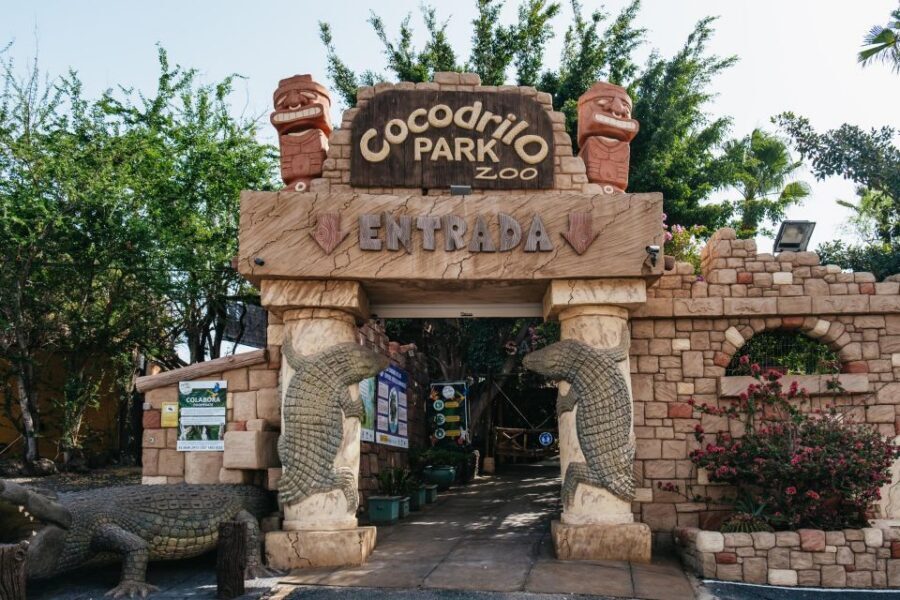 Agüimes: Cocodrilo Park Zoo Entry Ticket - Who this zoo ticket is best for