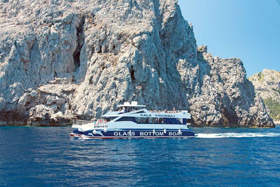 Alcudia: Boat Trip to Coll Baix - The glass-bottom reality: what you should expect to see