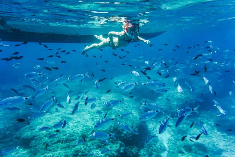 Alcudia: Formentor Beach, Lighthouse Cruise, and Small Group - Setting Off From Alcúdia: Small-Boat Energy, Big Views