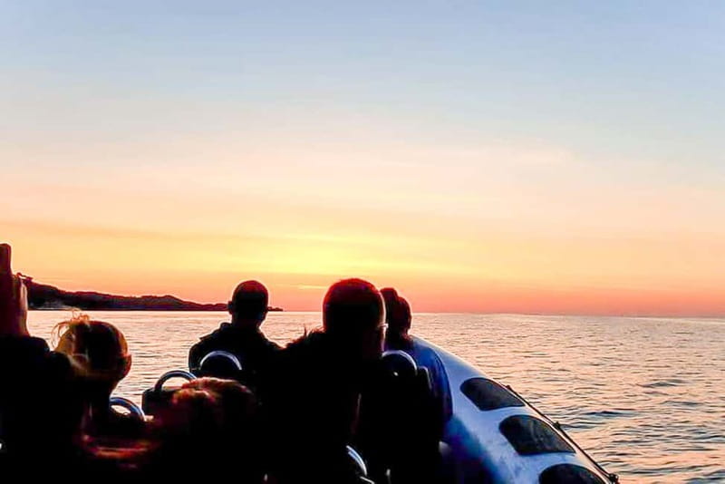 Alcudia: Formentor Beach, Lighthouse Cruise, and Small Group - Who This Cruise Fits Best (and Who Might Skip It)