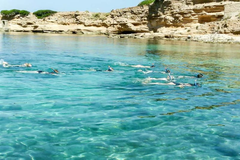 Alcudia: Formentor Beach, Lighthouse Cruise, and Small Group - Practical Tips Before You Go