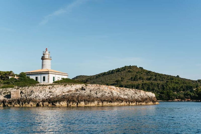 Alcudia or Can Picafort: Dolphin-Watching Cruise - Dolphins, Sea Caves, and a Swim: Why This Cruise Feels Like More Than a Ride
