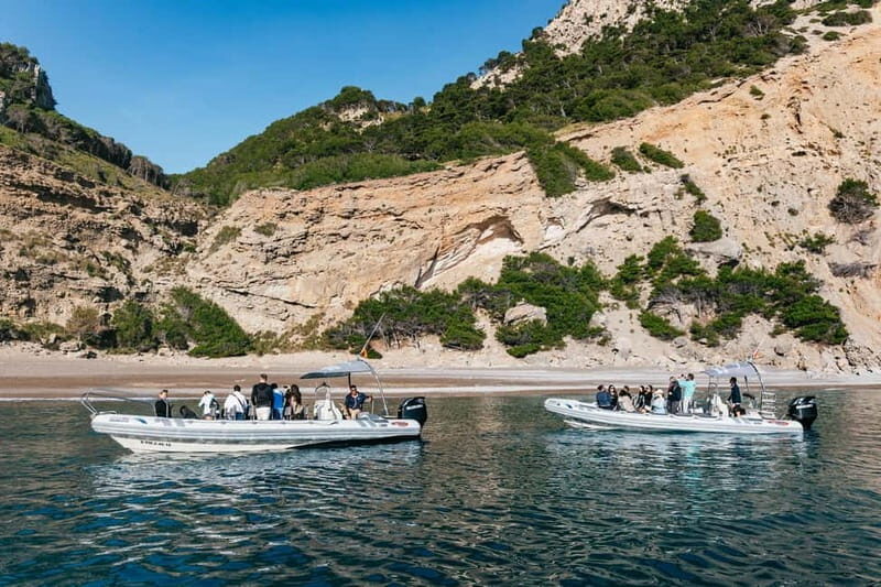Alcudia or Can Picafort: Dolphin-Watching Cruise - Who This Cruise Fits Best (and Who Should Think Twice)