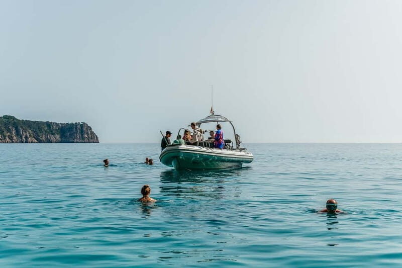 Alcudia or Can Picafort: Dolphin-Watching Cruise - Sea Caves Along the Coast: A Scenic Break That Still Feels Active