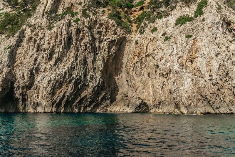 Alcudia or Can Picafort: Dolphin-Watching Cruise - Es Coll Baix Swimming Stop: The Best Kind of Break