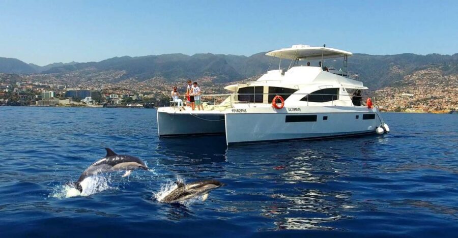 All Inclusive Whale and Dolphin Watching Luxury Tour - From Funchal marina to open Atlantic, the “VIP” start matters
