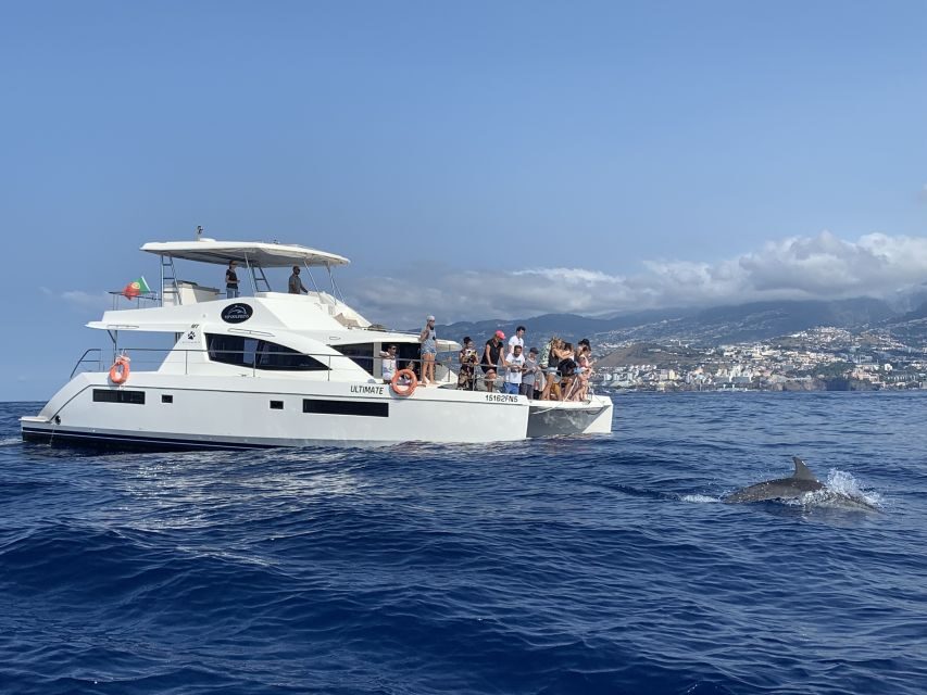 All Inclusive Whale and Dolphin Watching Luxury Tour - The “Cabo Girão swim stop” is the postcard moment