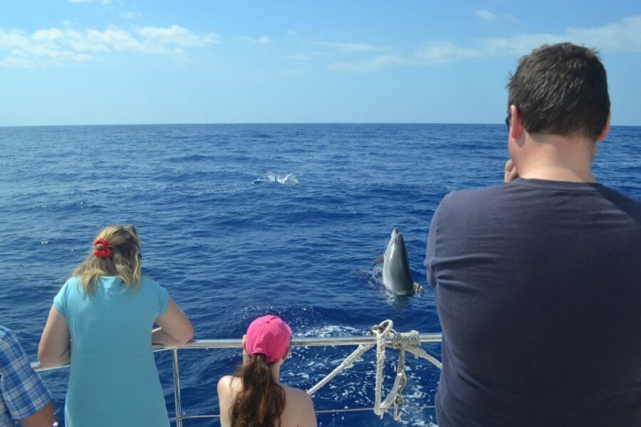 All Inclusive Whale and Dolphin Watching Luxury Tour - Drinks and snacks: unlimited in real, not theoretical, amounts