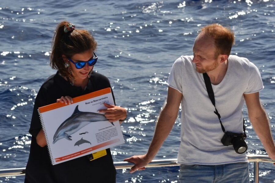 All Inclusive Whale and Dolphin Watching Luxury Tour - Price and value: $93 isn’t cheap, but it can be fair here