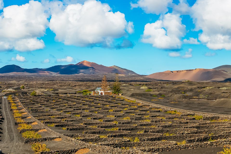 Arrecife: Timanfaya and Green Lagoon for Cruise Passengers - Key things that make this tour worth your time