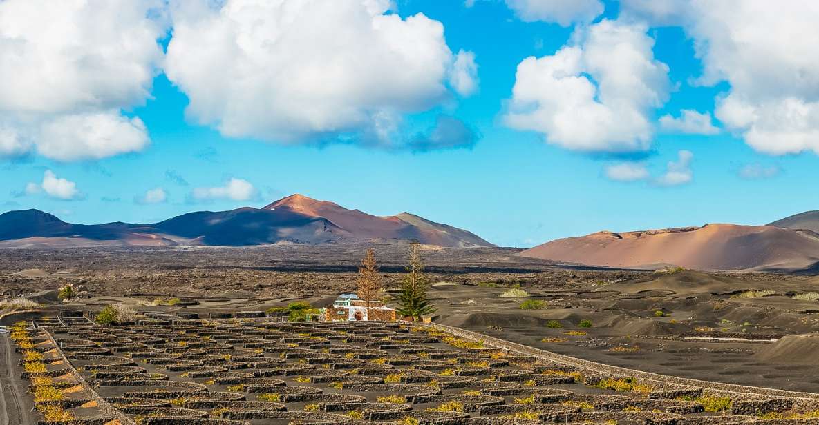 Arrecife: Timanfaya and Green Lagoon for Cruise Passengers - Getting from your cruise dock to Lanzarote’s south coast