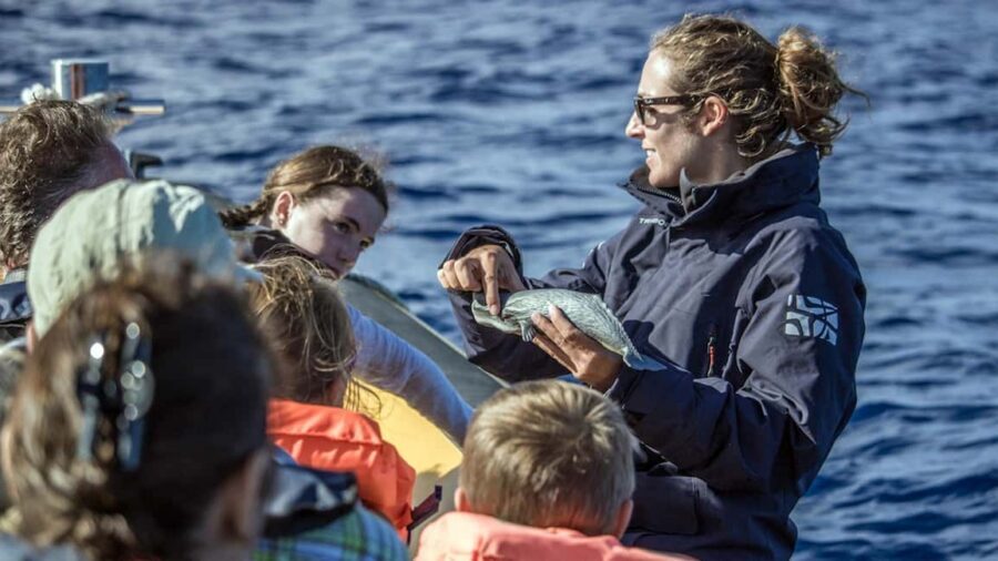 Azores Whale Watching & Islet Boat Tour - The Zodiac RIB ride: fast, fun, and very real ocean time