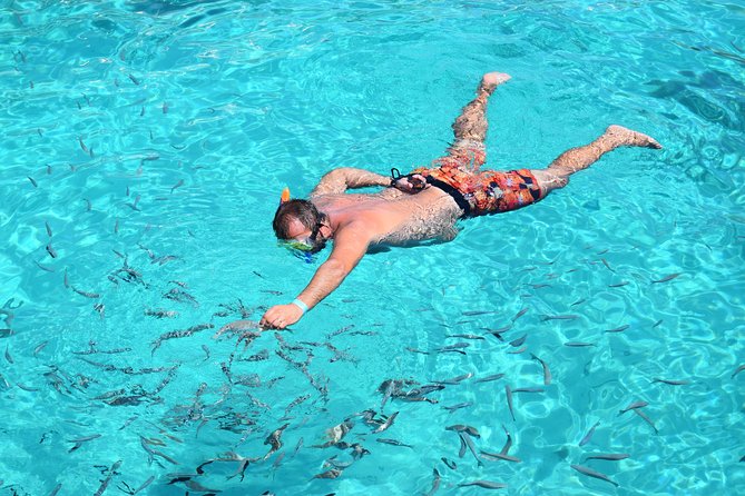 Blue Lagoon, Beaches and Bays Catamaran Sailing Tour - Why This Malta Catamaran Tour Works in Real Life