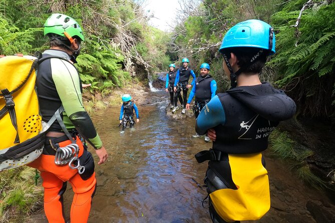 Canyoning in Madeira Island- Level 1 - Level 1 canyoning on Madeira: what you’ll do from start to gear-up