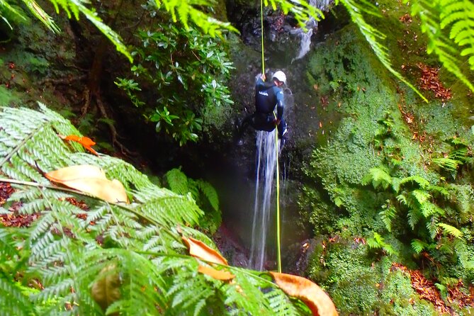 Canyoning Madeira Island - Level One - The canyon route: waterfalls, slides, jumps, and pool time