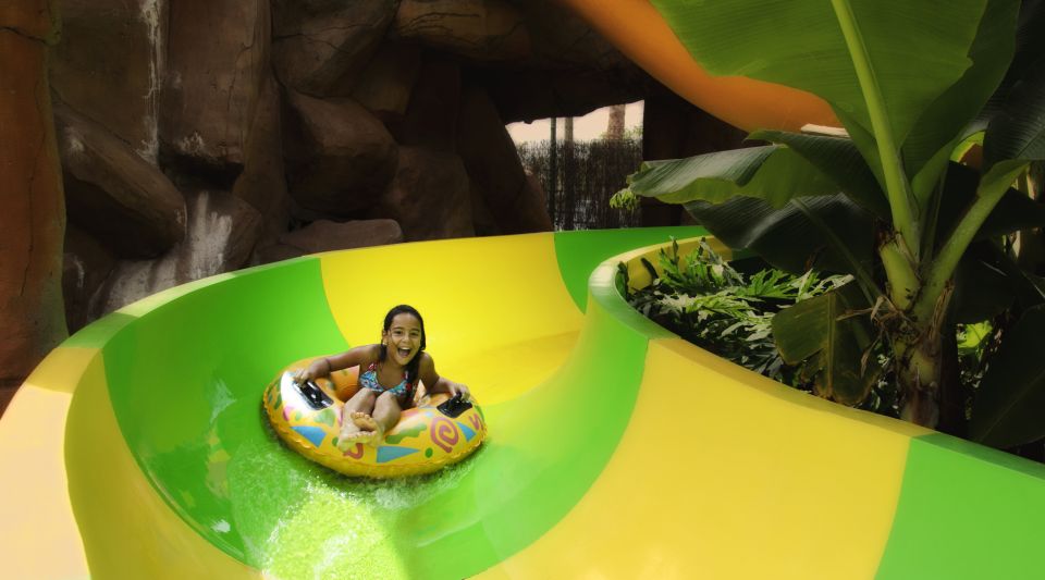 Costa Adeje: Aqualand Water Park Ticket with Dolphin Show - A quick, realistic flow for your day at the park