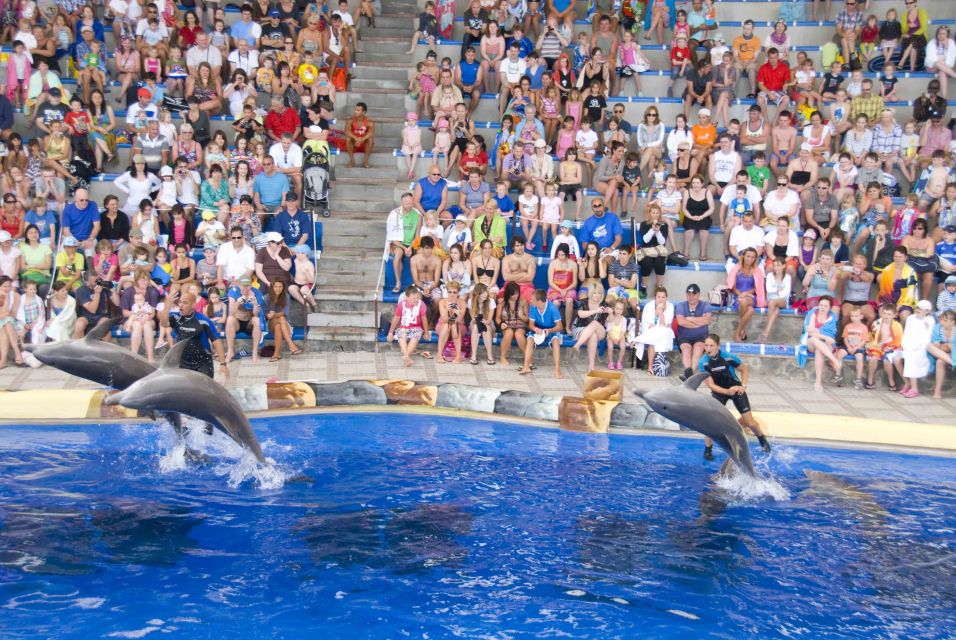 Costa Adeje: Aqualand Water Park Ticket with Dolphin Show - Kid zones that actually keep little ones busy