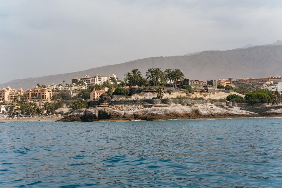 Costa Adeje: Whale & Dolphin Eco-Cruise with Snacks & Drinks - Choosing 3 Hours vs the Extended 5 Hours: Where the Extra Time Really Goes