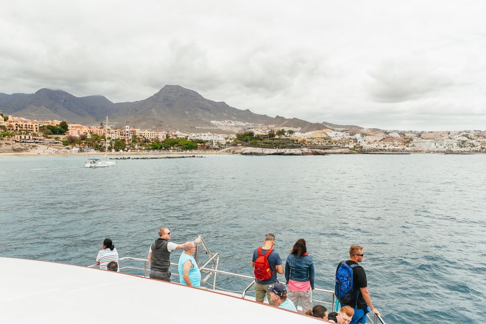 Costa Adeje: Whale & Dolphin Submarine Vision Mini Cruise - From Dock 12 to Open Water: The Start in Puerto Colón