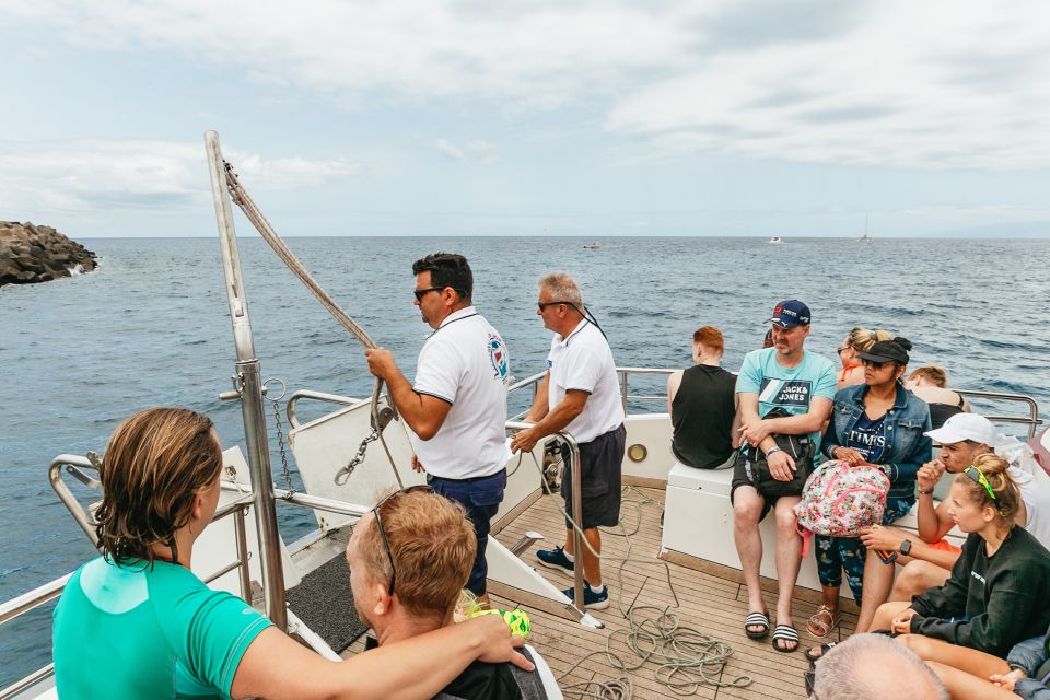 Costa Adeje: Whale & Dolphin Submarine Vision Mini Cruise - Comfort and Value: Is $35 for Two Hours a Good Deal?