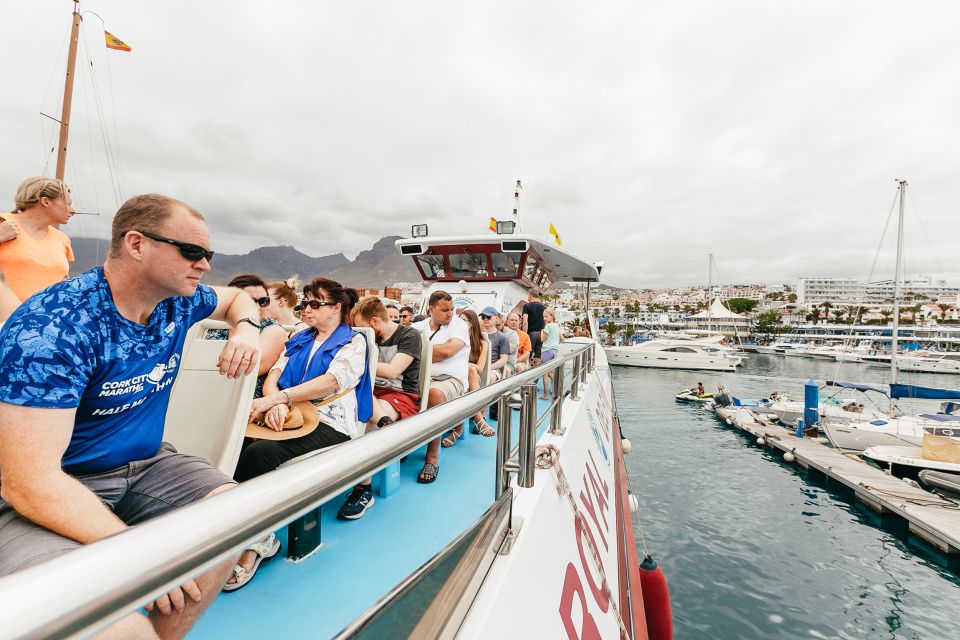 Costa Adeje: Whale & Dolphin Submarine Vision Mini Cruise - Who Should Book This Submarine Vision Cruise