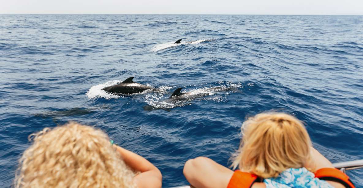 Costa Adeje: Whale Watching Catamaran Tour with Drinks - Key Things I’d Tell a Friend Before You Go