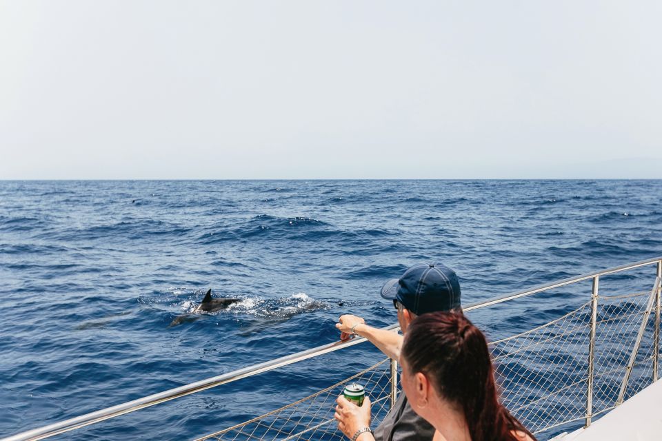 Costa Adeje: Whale Watching Catamaran Tour with Drinks - Puerto Colón to Pilot Whale Territory: Why This Route Works