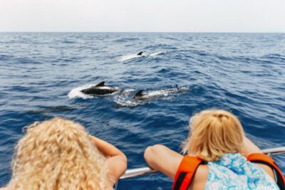 Costa Adeje: Whale Watching Catamaran Tour with Drinks - 2 Hours vs 3 Hours: How the Extra Time Changes the Day