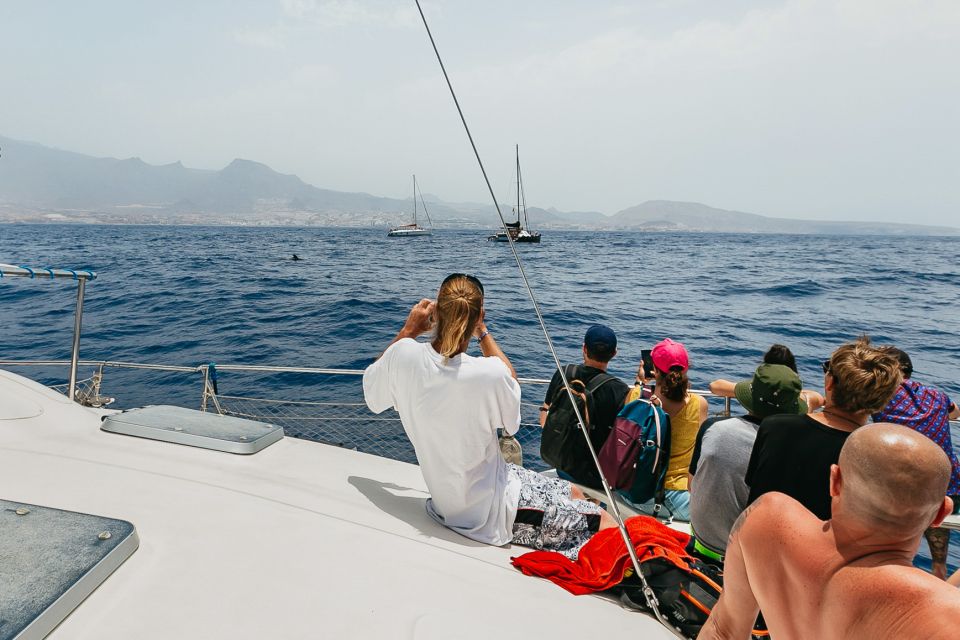 Costa Adeje: Whale Watching Catamaran Tour with Drinks - Drinks Aboard and the Boat Atmosphere You’ll Actually Notice