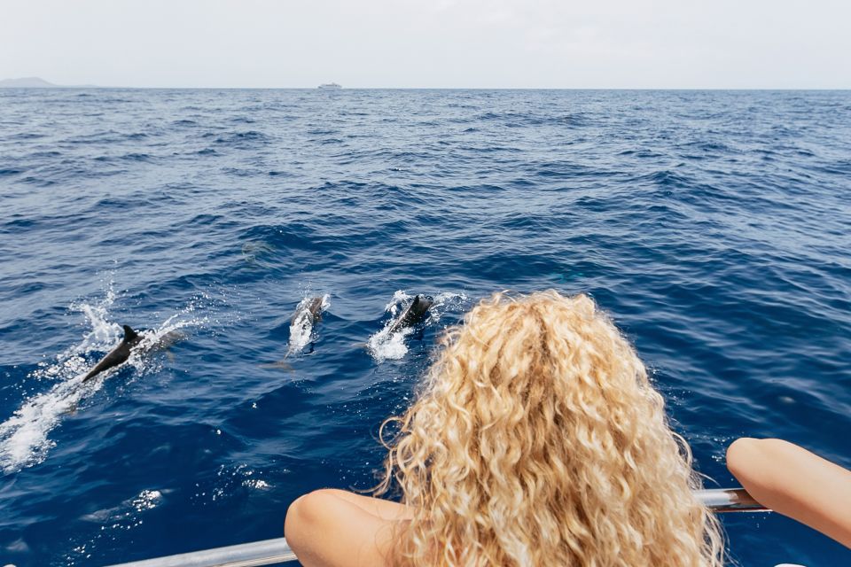 Costa Adeje: Whale Watching Catamaran Tour with Drinks - Environment-First Watching: What the Rules Mean for Your Viewing