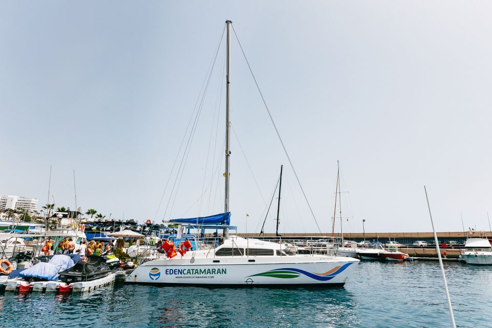 Costa Adeje: Whale Watching Catamaran Tour with Drinks - Playa Espagueti Snorkeling Stop: When It’s Worth the 3rd Hour