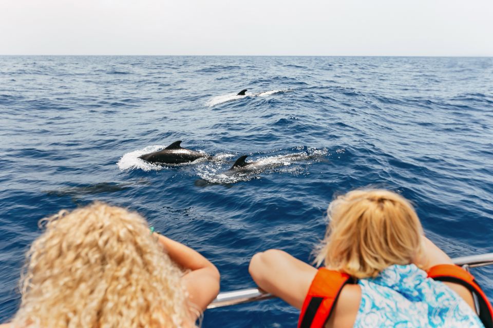 Costa Adeje: Whale Watching Catamaran Tour with Drinks - 2 Hours vs 3 Hours: How the Extra Time Changes the Day