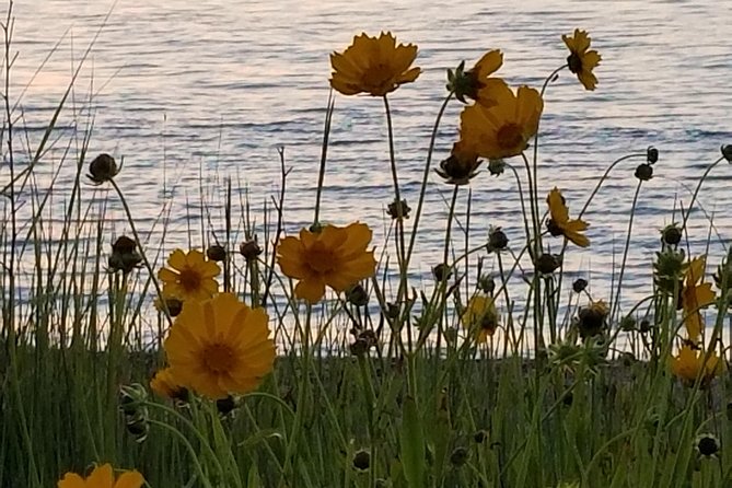 Down Island Tour with One Hour in Edgartown - East Chop Lighthouse, Inkwell Beach, and the Movie-Lore Bonus