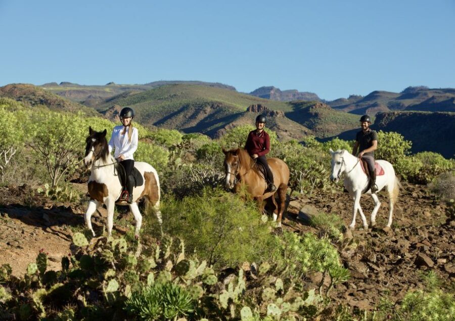 El Salobre: Horse Riding Adventure with Transfer Options - Why this El Salobre ride is such a smart way to see Gran Canaria