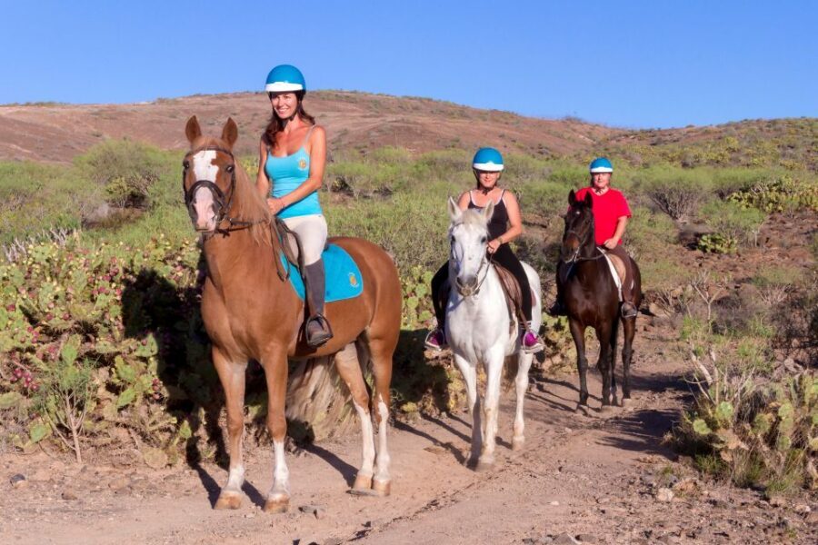 El Salobre: Horse Riding Adventure with Transfer Options - The route through volcanic mountains: what you’ll actually see