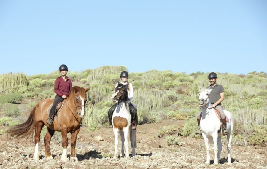 El Salobre: Horse Riding Adventure with Transfer Options - Price and value: is $75 per person worth it?