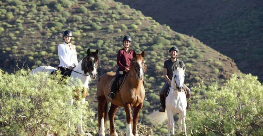 El Salobre: Horse Riding Adventure with Transfer Options - Enter the stables: gear up, meet your horse, and get oriented