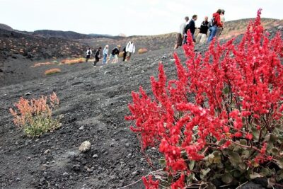 Etna Morning Trip - The hike toward 2000 meters: what you’re really paying for