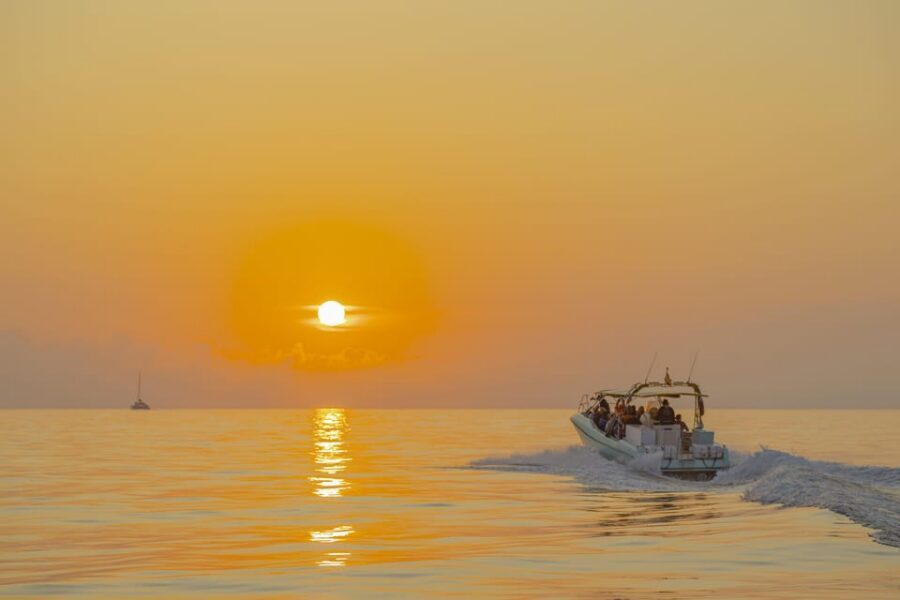 From Alcudia: Sunrise Dolphin Watching Boat Tour - The guide on board: turning sightings into stories