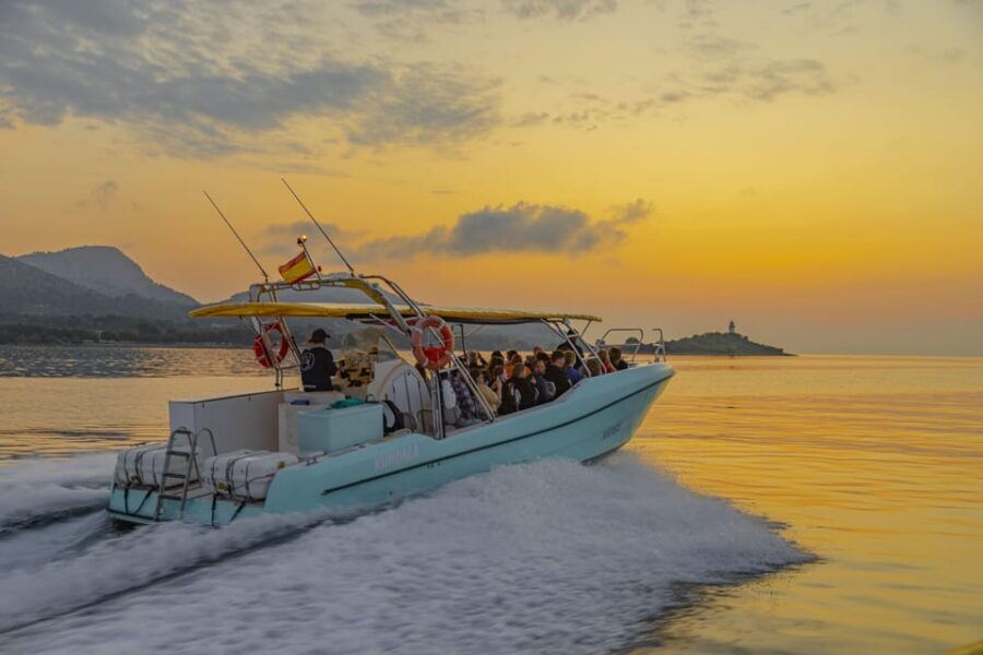 From Alcudia: Sunrise Dolphin Watching Boat Tour - What to bring (and what can ruin the morning)